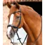 Premier Equine Savuto Anatomic Bridle with Crank Naseband and Flash Black