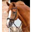 Premier Equine Savuto Anatomic Bridle with Crank Naseband and Flash Brown