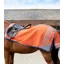 Premier Equine Stratus Horse Exercise Sheet Orange