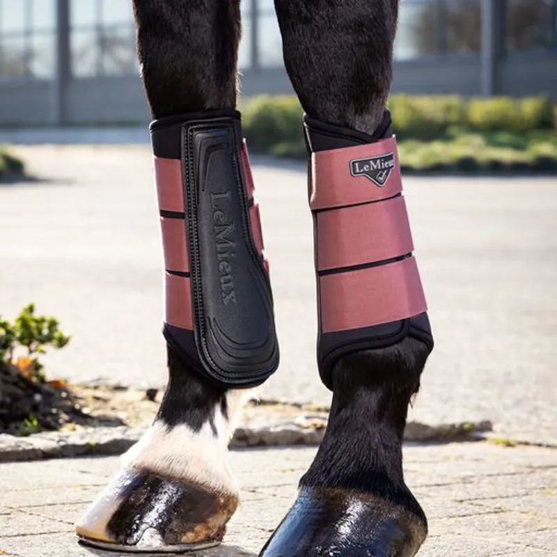 Lemieux horse on sale boots