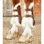 Premier Equine Techno Wool Tendon Boots Brown