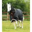 Premier Equine Titan 100g Turnout Rug with Snug-Fit Neck Cover Black