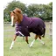 Premier Equine Titan 200g Original Turnout Rug Purple