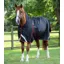 Premier Equine Buster Hardy 400g Half Neck Turnout Rug Black