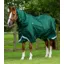 Premier Equine Buster Storm 220g Combo Turnout Rug with Classic Neck Green