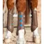 Premier Equine Carbon Tech Air Cooled Eventing Hind Boots Brown