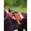LeMieux Toy Pony Western Pad Chilli