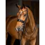 LeMieux Kudos Double Bridle Black