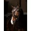 LeMieux Kudos Patent Dressage Bridle Brown