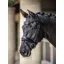 LeMieux Kudos Patent Dressage Bridle Black