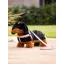 LeMieux Toy Puppy Sally