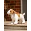 LeMieux Toy Puppy Jack
