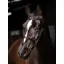 LeMieux Arika Cavesson Bridle Black/Silver