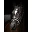LeMieux Kudos Patent Dressage Bridle Black/White