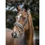 LeMieux Kudos Patent Dressage Bridle Brown/White