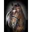 LeMieux Kudos Double Bridle Black/White