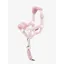 LeMieux Toy Pony Vogue Headcollar and Leadrope Blossom