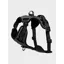 LeMieux Winchester Mesh Dog Harness Black