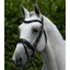 Premier Equine Rizzo Anatomic Snaffle Bridle with Flash Black
