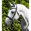 Premier Equine Verdura Anatomic Snaffle Bridle Black