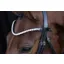 Schockemohle Browband Siena - Black/Crystal