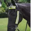Hy Viz 3-piece Bridle Set in Yellow
